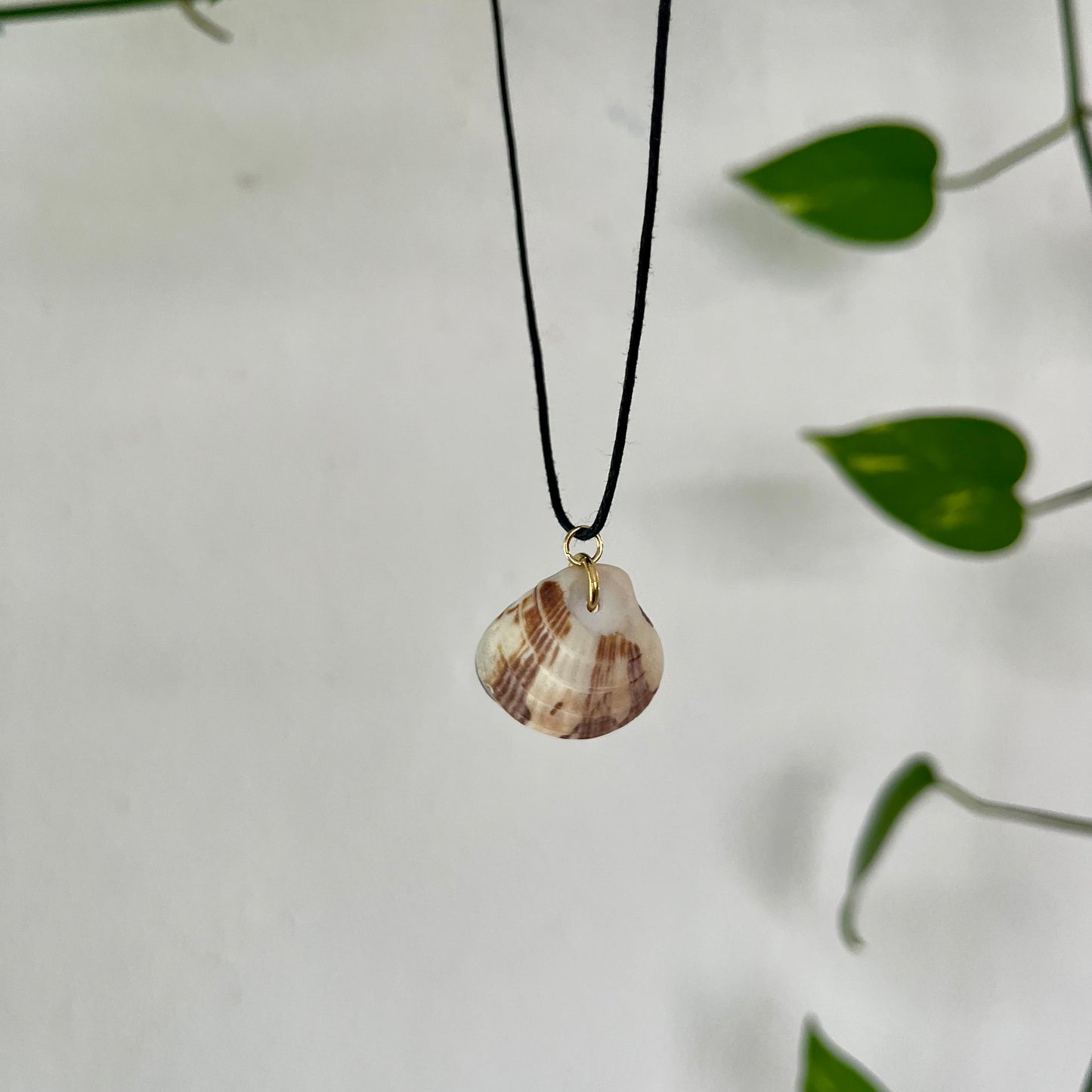 SHELL 2 NECKLACE