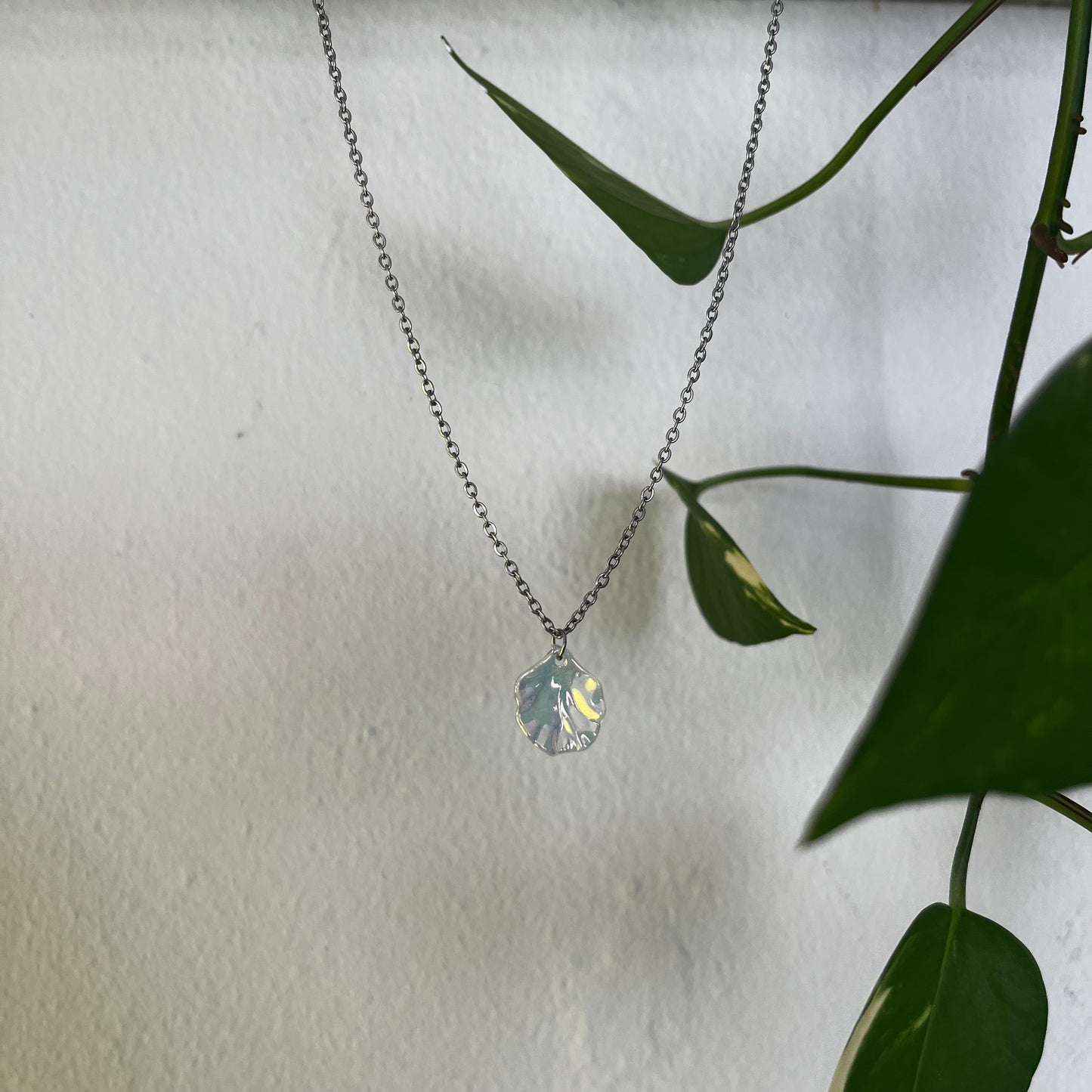 TORNASOL SHELL NECKLACE